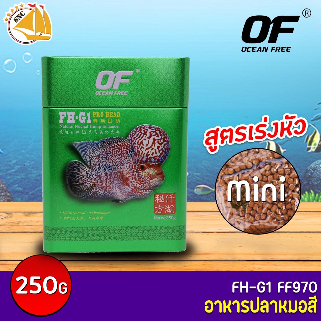 🔥ลดล้างสต๊อก🔥 OF FH-G1 PRO HEAD อาหารปลาหมอสี และปลากินเนื้อ คุณภาพดี สูตรพิเศษเร่งหัว 250g ( เม็ด Mini )