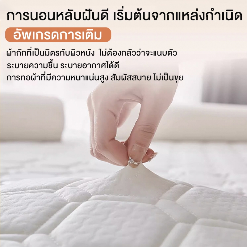 Sunfay ที่นอนยางพารา