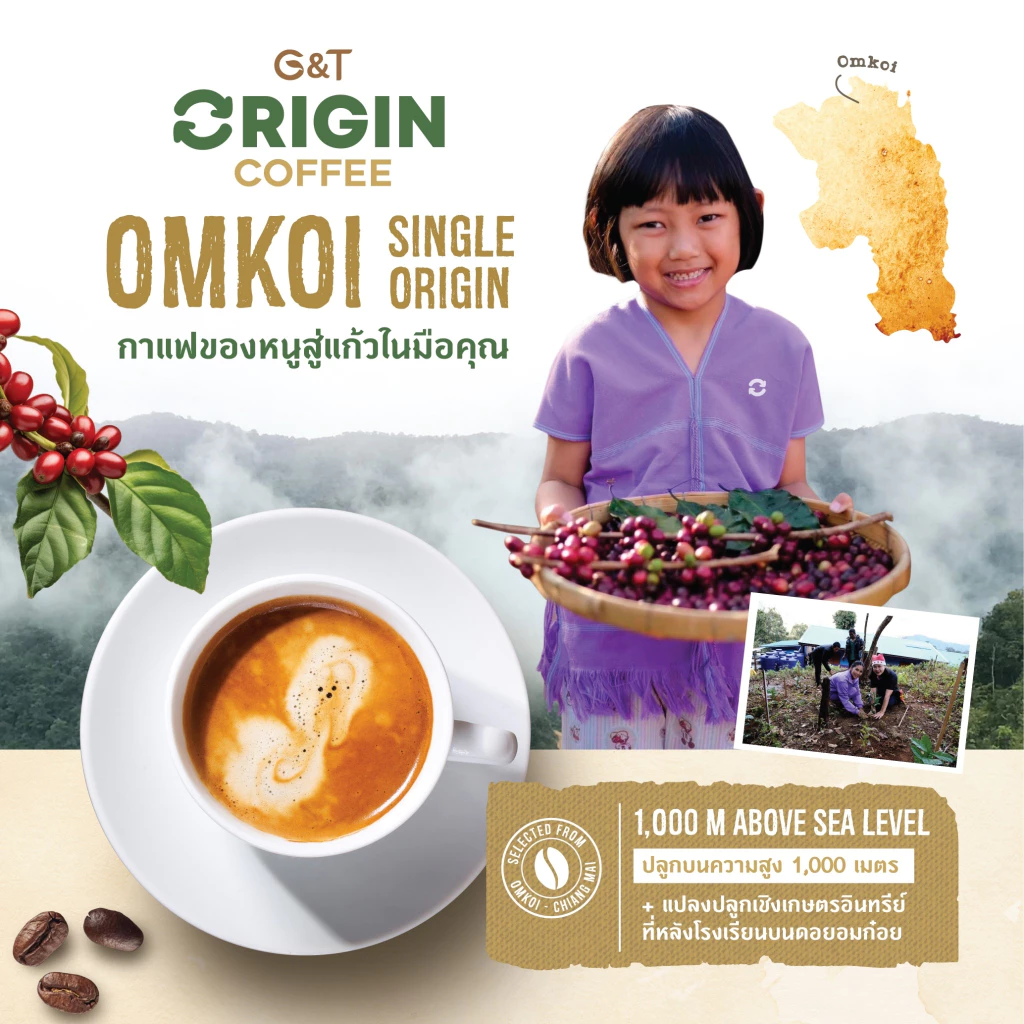 G&T Origin Coffee 3in1 ผสมงาดำ คอลลาเจน โปรตีนถั่ว 6 ชนิด