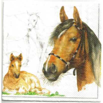 Pladao Napkin ภาพสัตว์ ภาพวาดลายเส้น Horse ม้า ภาพร่าง กระดาษ แนพกิ้น สำหรับงานศิลปะ เดคูพาจ decoupage ขนาด L 33x33