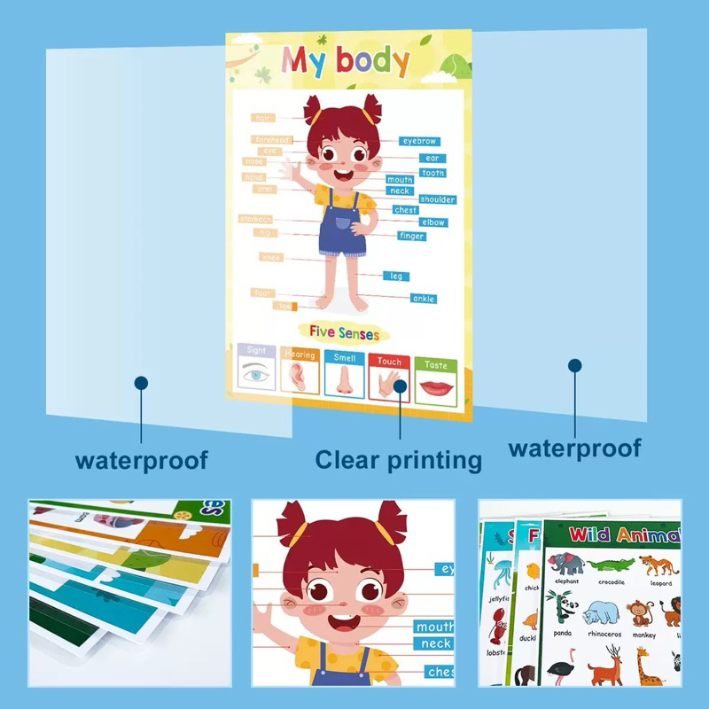โปสเตอร์พลาสติก สอนภาษาอังกฤษ มี 20 แบบ ขนาด A4 สีสันสดใสผิวกันน้ำ ใช้เป็นสื่อการเรียนการสอนให้เด็กๆ ราคา ถูกที่สุด ดีลบีเคเค แกลเลอรีภาพที่ 4