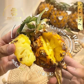 🇹🇭Oishi-fresh🍍สับปะรด ภูแล รสชาติ หวานอมเปรี้ยว สด ใหม่ ใยอาหารสูง หวานออร์แกนิค เคลมได้ 1-2 วัน