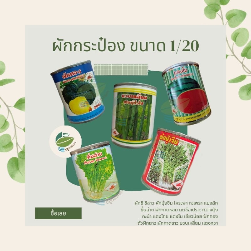 🌱🥫ผักกระป๋อง  คะน้า กะเพรา ผักชี ขึ้นฉ่าย แตงโม ผักชี ชีลาว ผักกาดหอม ผักบุ้ง กวางตุ้ง แมงลัก โหระพา เขียวน้อย ผักกาดขาว