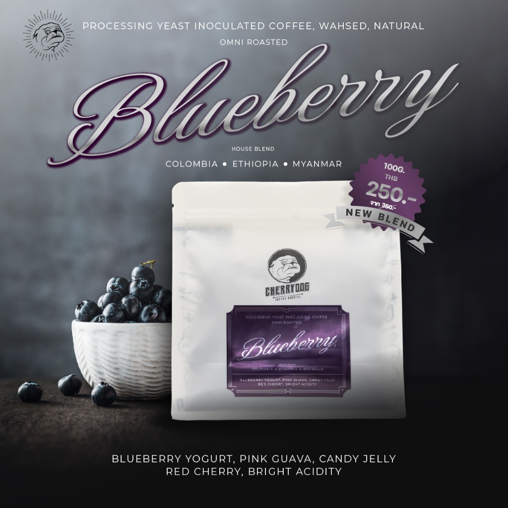 Cherrydog | เมล็ดกาแฟ คั่วกลางอ่อน Blueberry blend (Omni Roasted) ขนาด 100g -200g  | Signature Blend