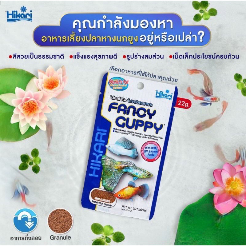 Hikari Fancy Guppy 22g. อาหารสำหรับปลาหางนกยูง