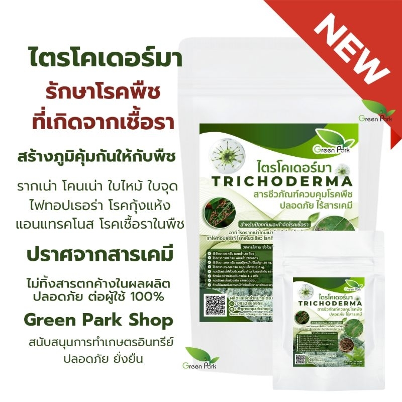 ไตรโคเดอร์มา รักษาโรคเชื้อราในพืช โรคเน่า ใบเหลือง ใบไหม้ ไฟทอป แอนแทคโนส ผลเน่า ต้นเน่า ชนิดผง