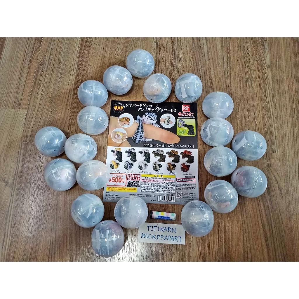 (มีของพร้อมส่ง) กาชาปองตุ๊กแกเสือดาวตุ๊กแกตาหนาม Gashapon Bandai Ikimono Encyclopedia Leopard Crested Gecko Vol.2 - รูปที่ 2