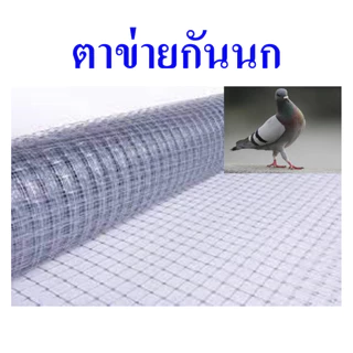 ตาข่ายกันนก ตาข่ายพลาสติก ตาข่ายกันนกพิราบ หน้ากว้าง 2 เมตร แบ่งจำหน่ายความยาว 2-6 เมตร