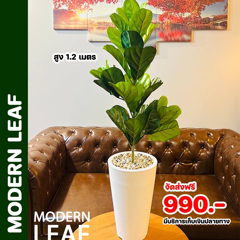 ต้นไทรใบสักสีอ่อน ต้นไม้ปลอมในกระถางโมเดิร์นสูง 1.2 เมตร พร้อมหินตกแต่ง ประกอบครบชุดพร้อมตั้งโชว์