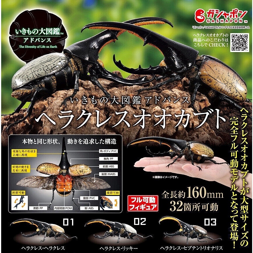 (เพิ่มครบชุดพร้อมส่ง) กาชาปองด้วงกว่างใหญ่พิเศษ Gashapon Bandai Premium Big Size Hercules Beetle Act