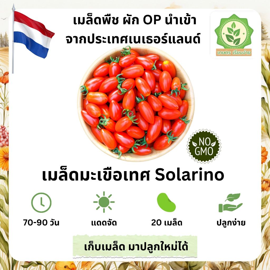 เมล็ดพันธุ์รวมผักต่างๆ มะเขือเทศ โซลาริโน่ เมล็ดนอกนำเข้าต่างๆ พันธุ์ OP บรรจุ 20 เมล็ด