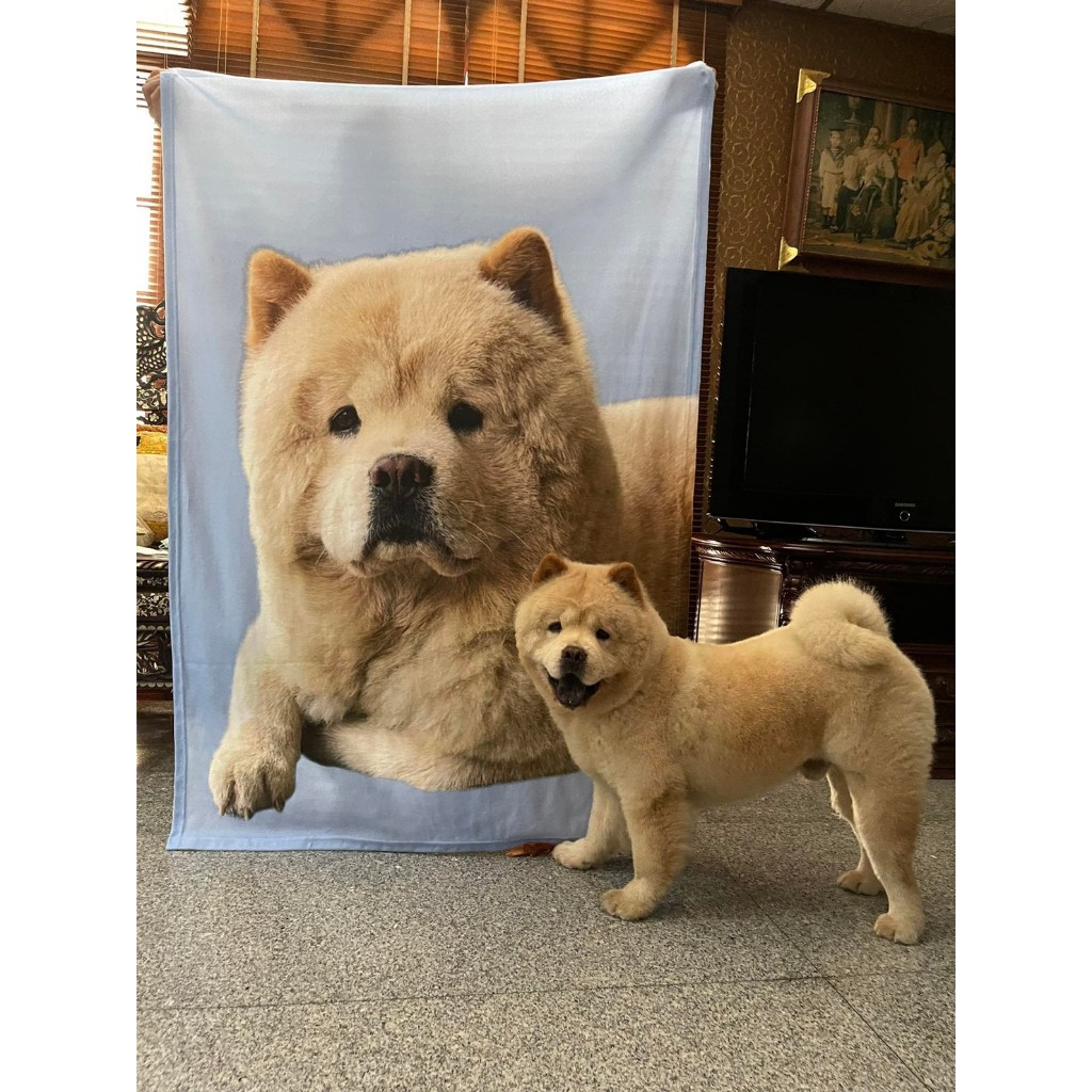 ผ้าห่มสกรีนรูปของเราเอง ขนาด 100x150 ซม. สกรีนเต็มผืน