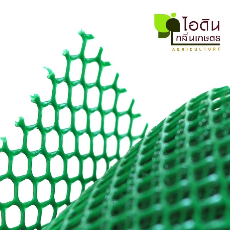 รูปภาพ 3