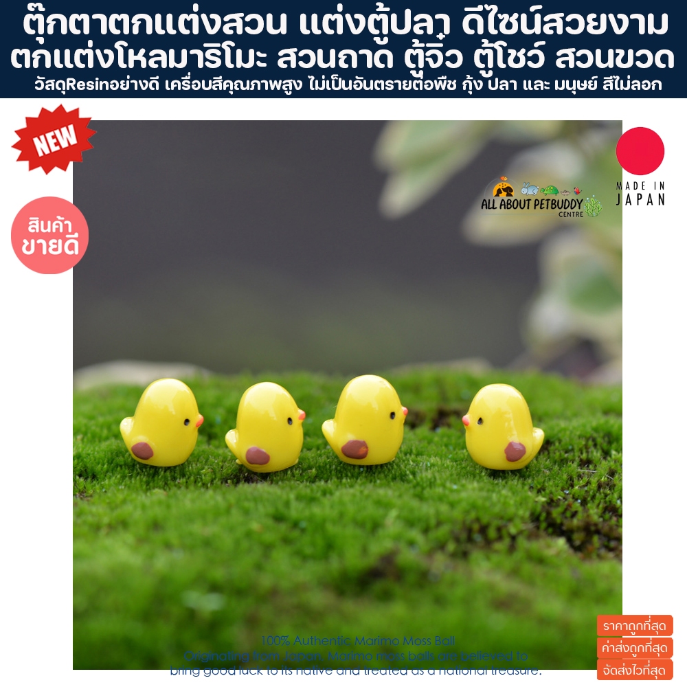 ไก่น้อย ตกแต่งสวน ตกแต่งตู้ปลา ตุ๊กตาตกแต่งสวน ตกแต่งสวนจิ๋ว ตกแต่งกระถาง ตุ๊กตาเรซิ่นขนาดเล็ก สัตว์จิ๋ว มาริโมะ marimo