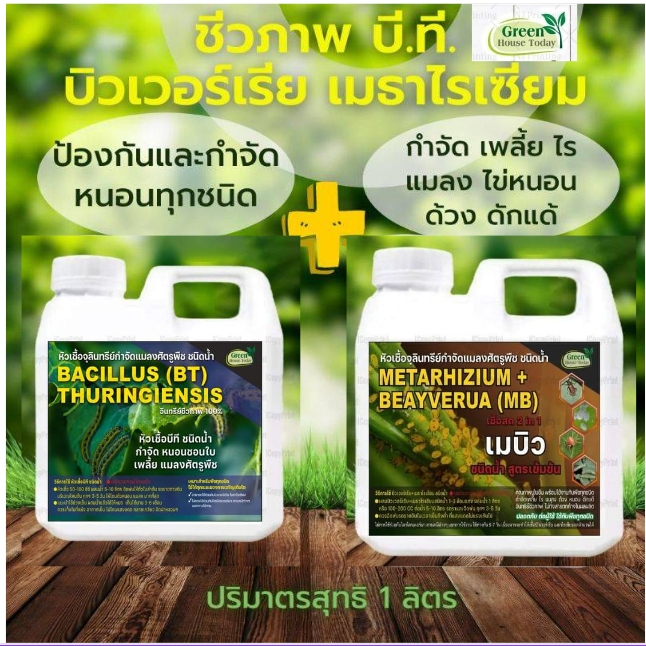 หัวเชื้อ บีที BT MB ขนาด 1 ลิตร กำจัด หนอน เพลี้ย แมลง ไม่ใช้สารเคมี ไม่ทิ้งสารตกค้าง ชีวภาพ สำหรับพืชทุกชนิด บอนสี