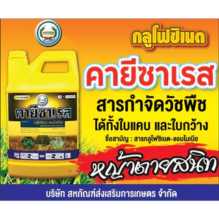 คายีซาเรส ขนาด4ลิตร ใช้ได้ทั้งใบกว้างและใบแคบ คายีขยี้หญ้า ใช้กำจัดวัชพืช ของแท้สั่งตรงจากบริษัท