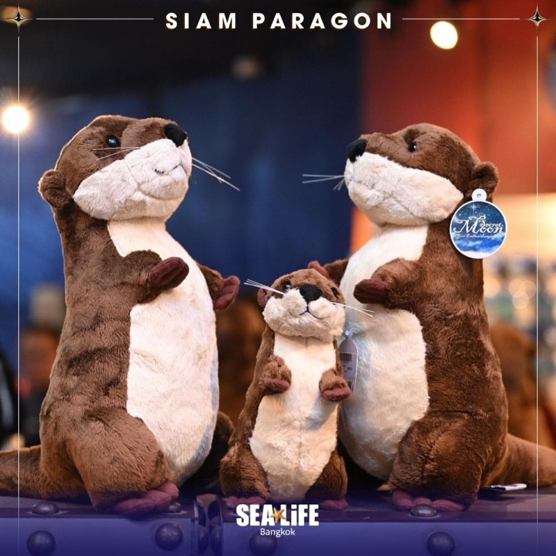 SEA LIFE Bangkok Ocean World ตุ๊กตาสัตว์ทะเลน่ารักๆ