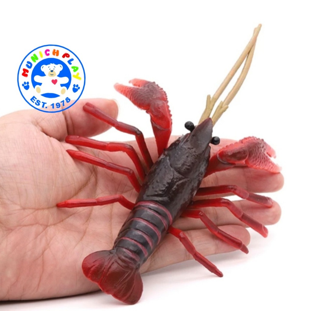 Munich Play โมเดลสัตว์ Crayfish กุ้ง กุ้งเครย์ฟิช แดง ขนาด 18.00 CM (จากหาดใหญ่)