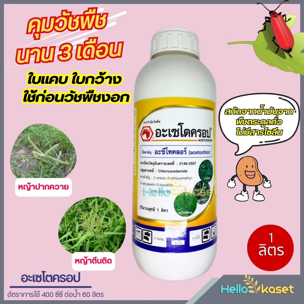 สารกำจัดหญ้า อะเซโตครอป ขนาด 1 ลิตร สารกำจัดวัชพืชใบแคบใบกว้าง ไม่เหม็น ไม่คัน คุมนาน 2-3 เดือน