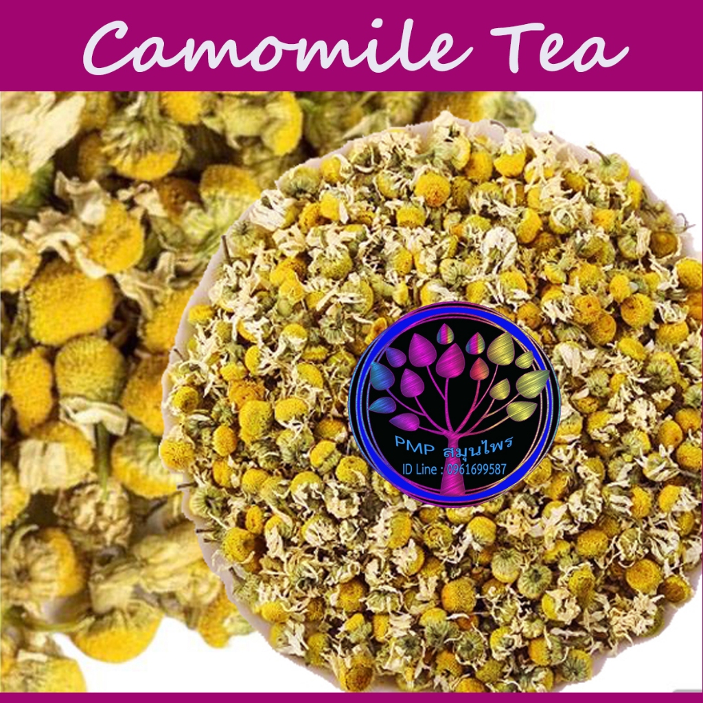 ชาดอกคาโมมายล์ ชาคาโมมายล์ Camomile Tea ชาดอกไม้ Organic ใหม่ หอม สะอาด ปลอดสาร