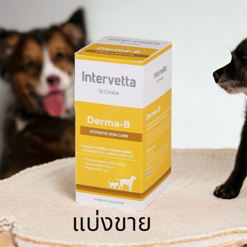 Dr.Choice Derma-B บำรุงขนสุนัขและแมว Exp 1/2/2027( 1กล่องมี100เม็ด)