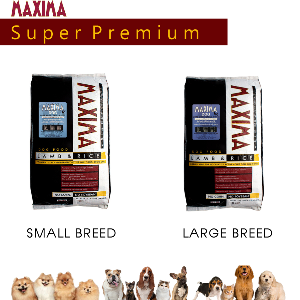 💪ฟรี💪อาหารสุนัขแม็กซิม่า 15 กก. (พันธุ์เล็ก-พันธุ์ใหญ่)