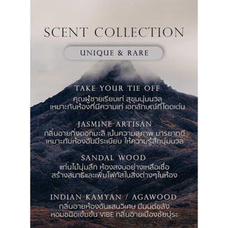 FRANK - มินิมอลสไตล์ ก้านไม้หอม aroma สำหรับบ้าน เป็นพร้อบตกแต่งได้ minimal style หอมทั่วห้อง 85ml.