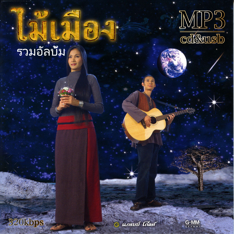 cd&usb Mp3 ไม้เมือง รวมอัลบั้ม 50 เพลง ระบบเสียงคุณภาพ 320k #เพลงเก่า#เพลงคลาสสิค