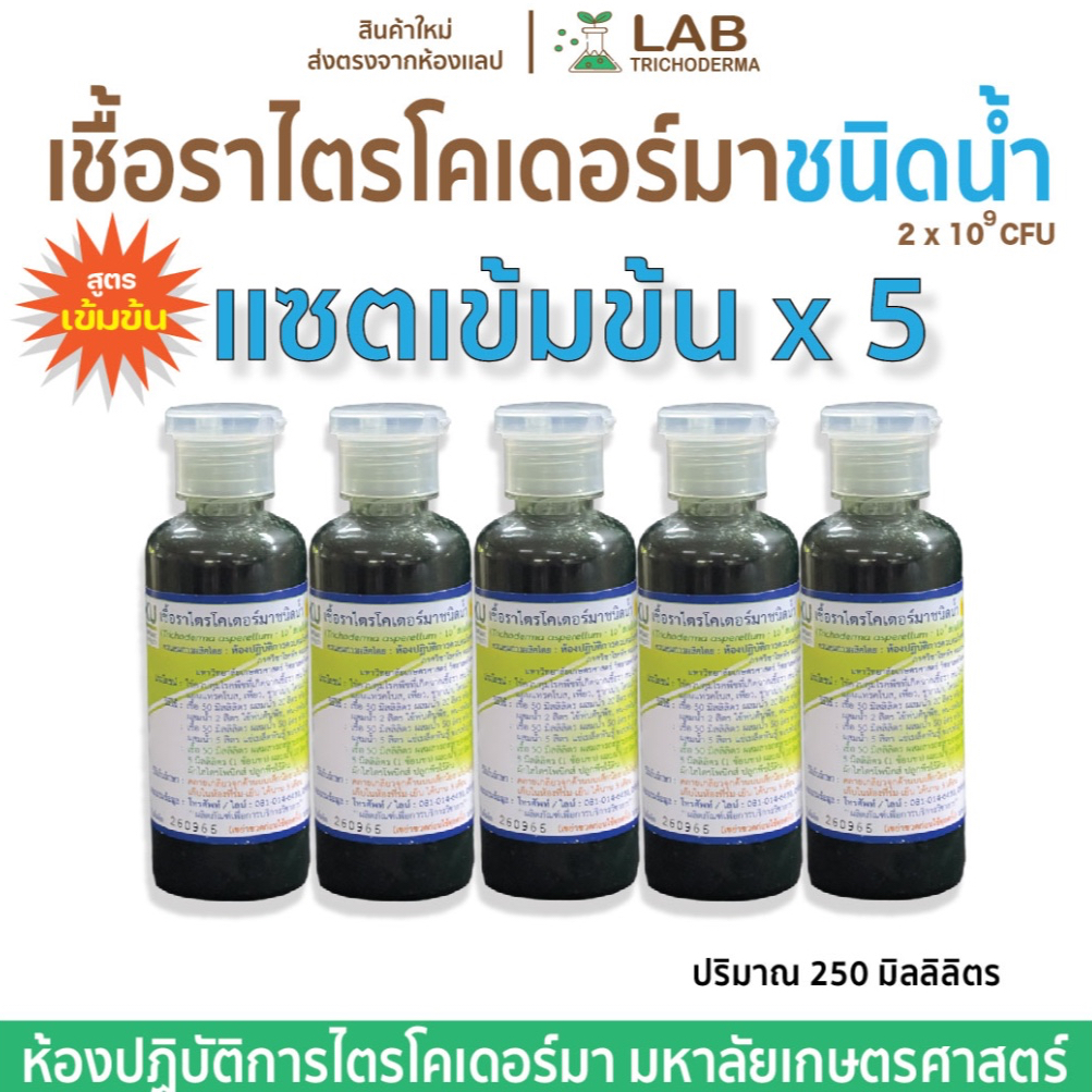 【เซตเข้มข้นx5ขวด】ไตรโคเดอร์มาชนิดนํ้า(สูตรเข้มข้น)250ml พร้อมใช้งาน ม.เกษตร【ผลิตใหม่ 】
