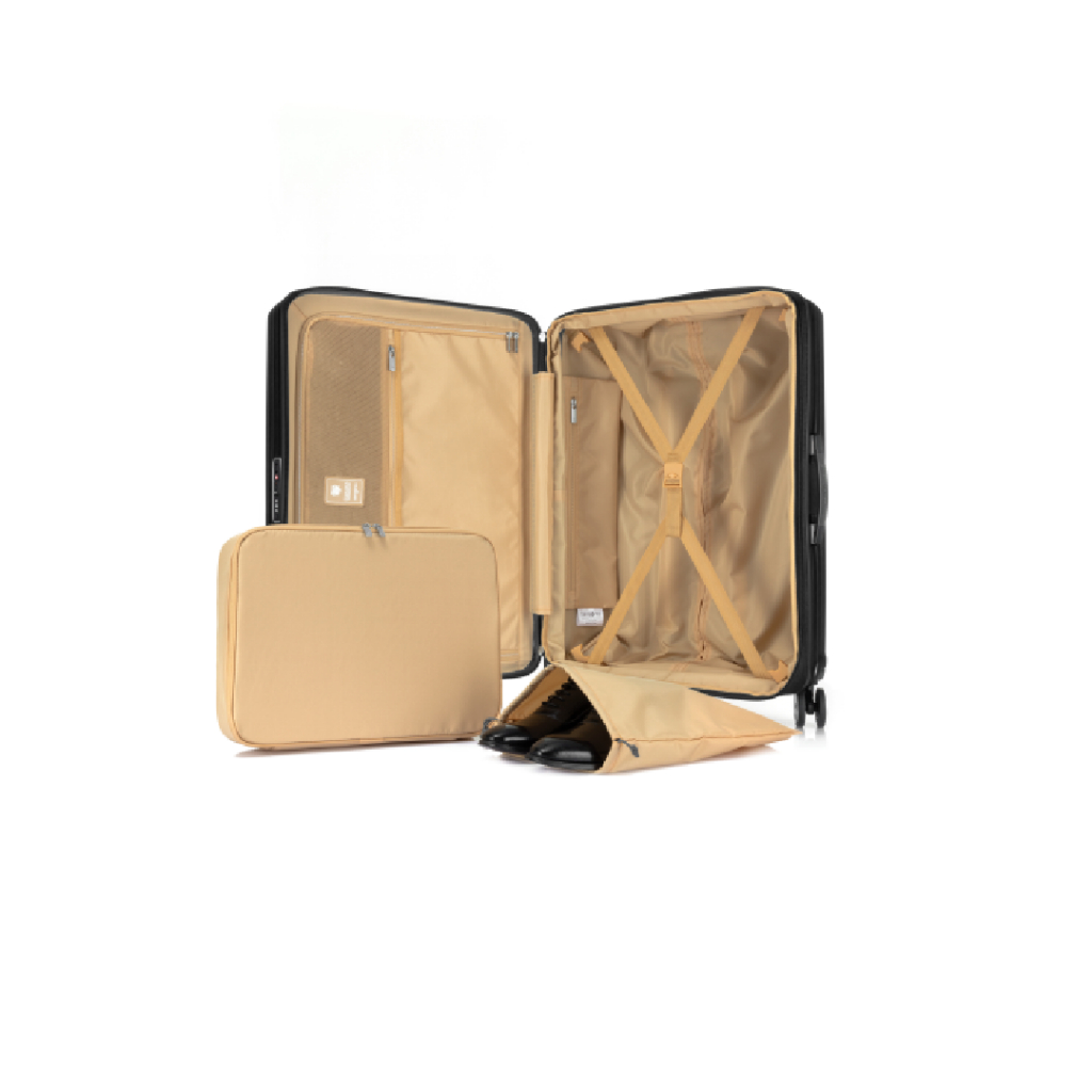 รูปภาพ 8