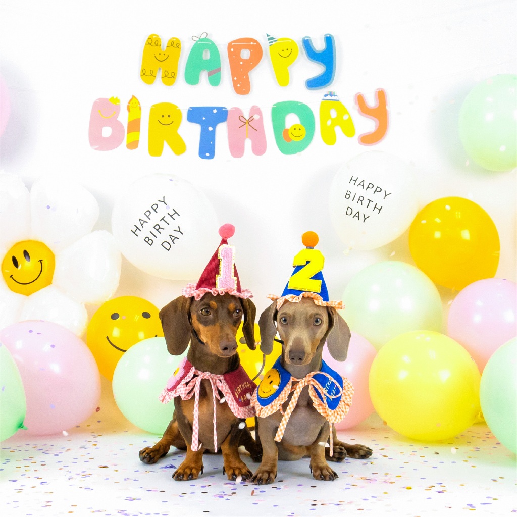 CLAWSET قبعة عيد ميلاد للحيوانات Birthday Baby — صورة 5