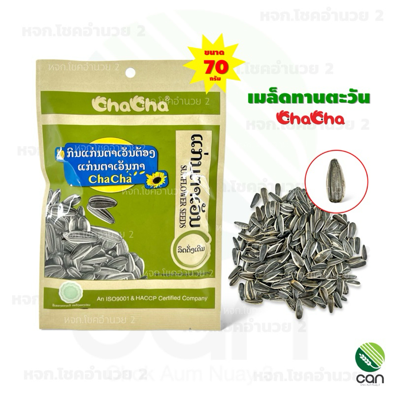 เมล็ดทานตะวัน ขนาด 70และ 80 กรัม/ซอง รสดั้งเดิม ตราชาช่า chacha sunflower seeds
