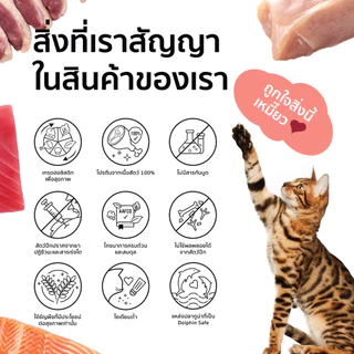 Ron Ron อาหารเปียกแมว Holistic ร็องร็อง มีทั้ง 4 สูตร ขนาด 75 กรัม