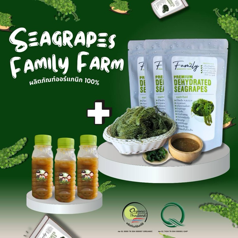 สาหร่ายคืนรูป (ไม่ใช่สด) 3ซอง+น้ำจิ้ม3 ขวด(1ซองขยายได้300-350กรัม)