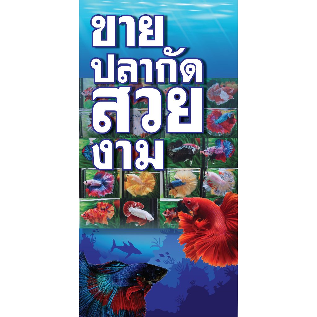 ป้ายไวนิลขายปลากัด  แนวตั้ง PS07/215 พิมพ์ 1 ด้าน เจาะรูตาไก่ฟรี 4 มุม