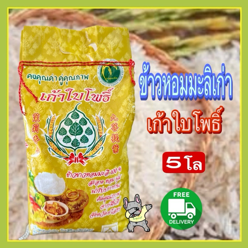 ข้าวหอมมะลิเก่า ถุง 5 กก. ตรา 9 ใบโพธิ์