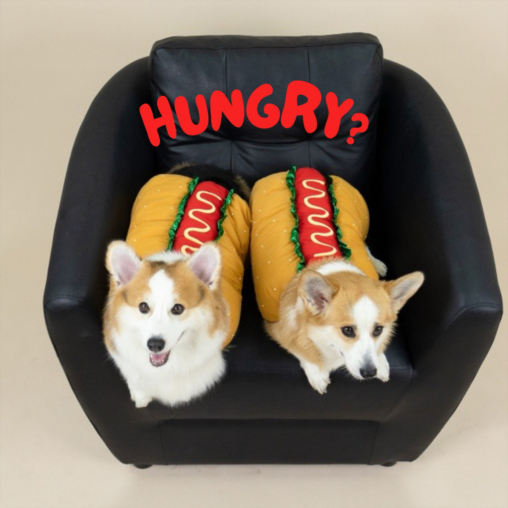 [สินค้าราคาพิเศษ] ชุดหมาแมวแฟนซี (Hotdog) ฮอทดอก ฮอทใจ | CLAWSET.BKK - รูปที่ 2