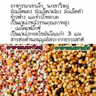 อาหารนกเขาเล็ก มิลเล็ตรวม 3 สี แบ่งขาย 1 kg