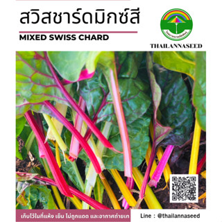 เมล็ดพันธุ์ผักสวนครัว สวิสชาร์ดมิกซ์สี ( ขนาด 0.5 กรัม ) รหั…