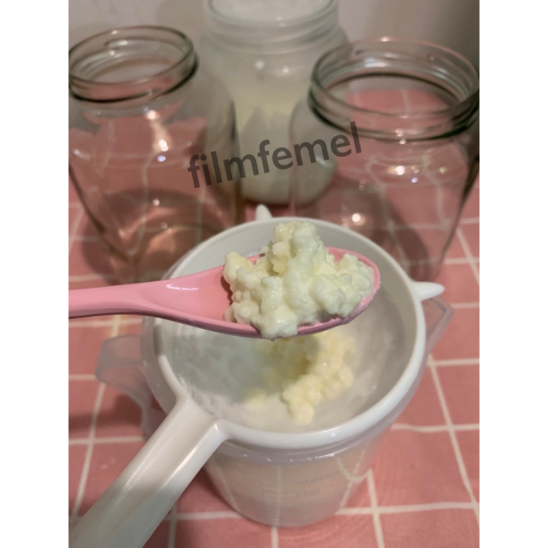 Kefir Grains คีเฟอร์นม คีเฟอร์เกรน 🇹🇷สายพันธุ์ตุรกี (หัวเชื้อคีเฟอร์ 10g) วิธีเลี้ยงคีเฟอร์