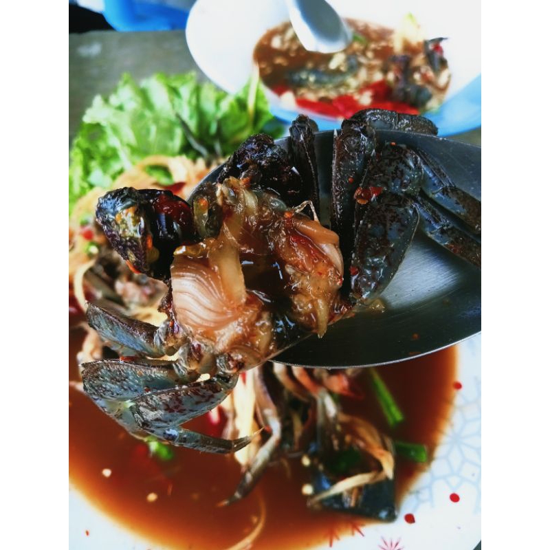 ปูเค็ม ปูแสม-ปูเปี้ยวดอง สด สะอาด ราคาถูก ปูหาเอง ดองใหม่ทุกออเดอร์ 1 กก ไซส์เล็ก