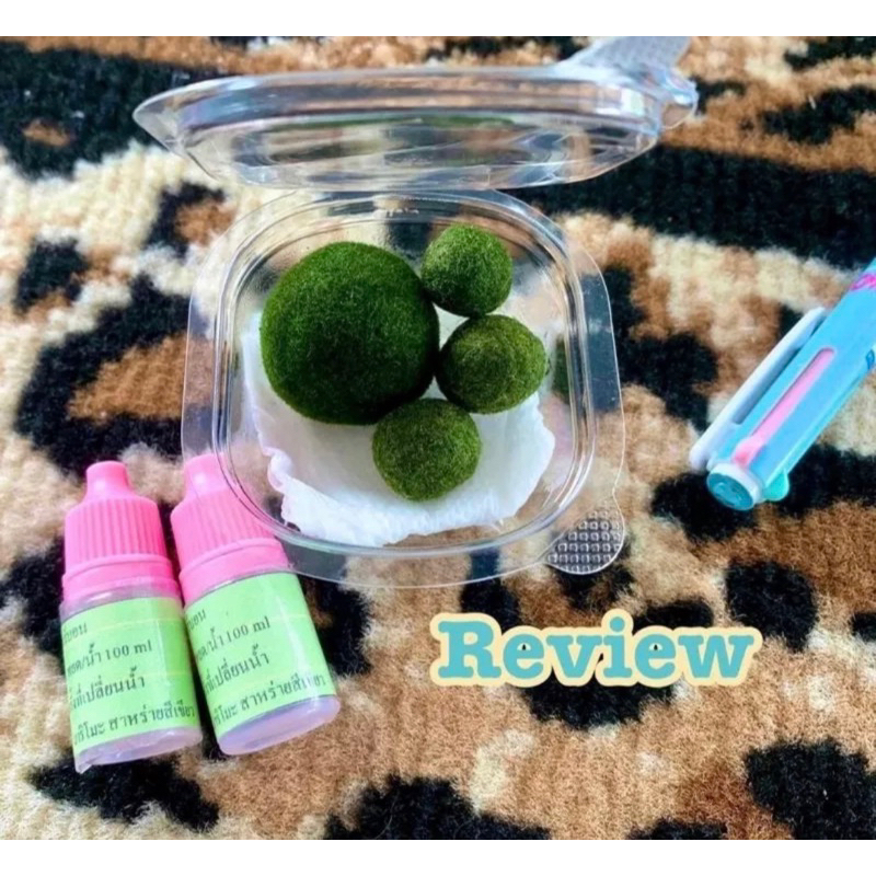 🔥มาริโมะ ชุดเลี้ยง 1cm=2ลูก+ปุ๋ย2ขวด ปุ๋ยอาหาร ปุ่ยคาร์บอน มีคุ่มือการเลี้ยงให้