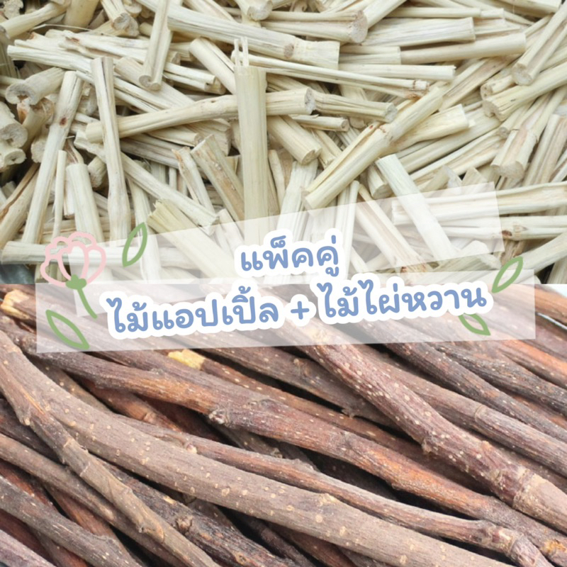 แพ็คคู่ ไม้แอปเปิ้ล + ไม่ไผ่หวาน ไผ่หวาน ลับฟัน สำหรับสัตว์ฟันแทะ หนูแฮมเตอร์ กระต่าย ชินชิล่า ชูการ์ มีหลายขนาด