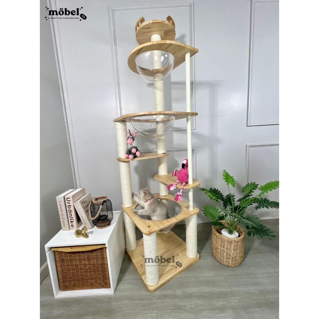 [ส่งฟรี ]คอนโดแมวไม้ยางพารา สูง2เมตร สำหรับแมวจ้ำม่ำ/แมวพันธุ์ใหญ่ มี3หลุม อ่างใสใหญ่พิเศษ ราคา ถูกที่สุด ดีลบีเคเค แกลเลอรีภาพที่ 3