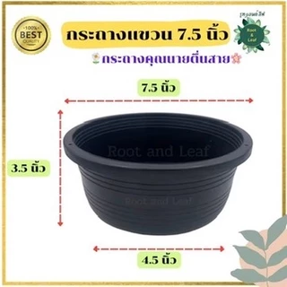 กระถางแขวน กระถางต้นไม้สำหรับแขวน ขนาด 7.5 นิ้ว ความกว้างปากกระถาง(เบอร์8) กระถางชามเตี้ย สีดำ ทรงเตี้ย