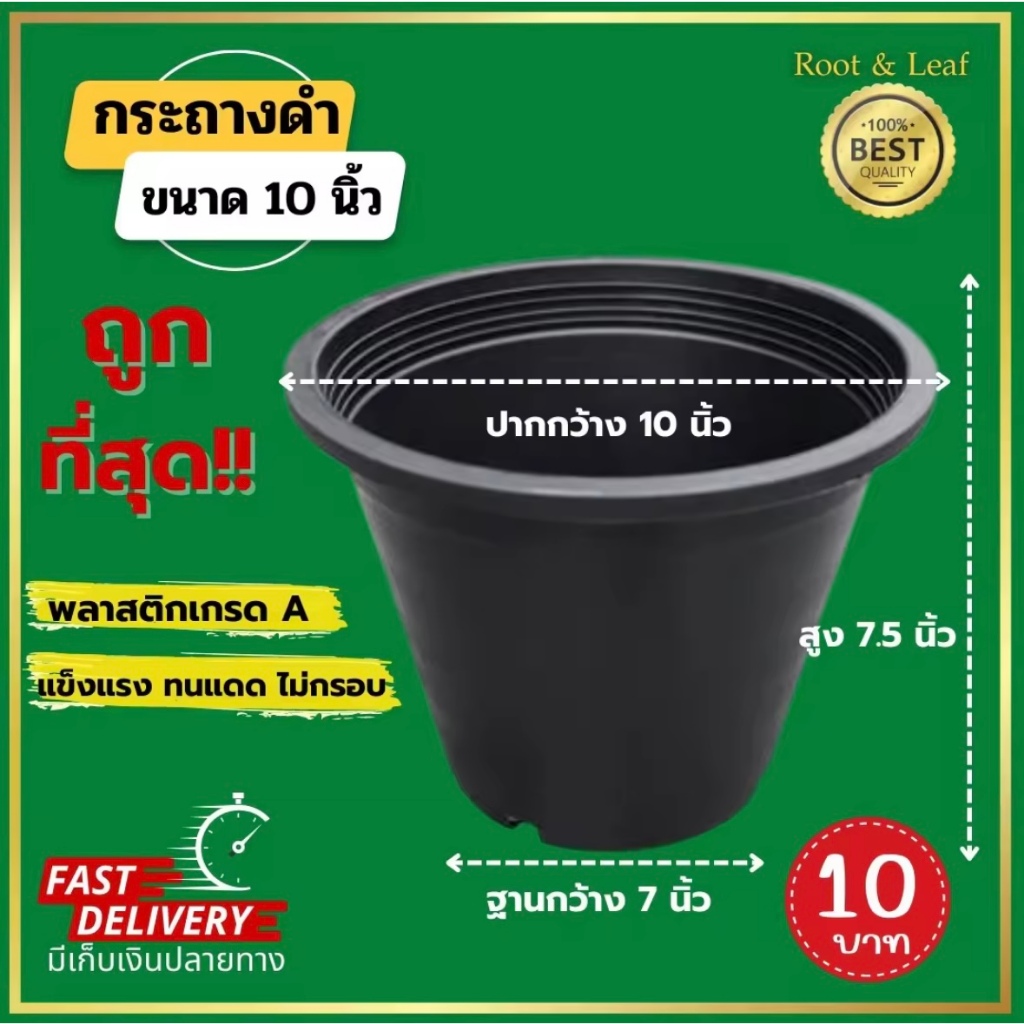 กระถางพลาสติกสีดำ ขนาด 10 นิ้ว ผลิตจากพลาสติกอย่างดี แข็งแรง ทนทาน ทนแดด ทนฝน ไม่กรอบง่าย สินค้าพร้อมส่ง