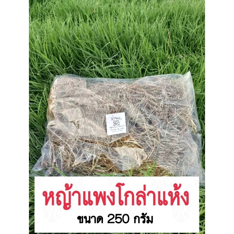 หญ้าแพงโกล่าแห้ง250กรัม