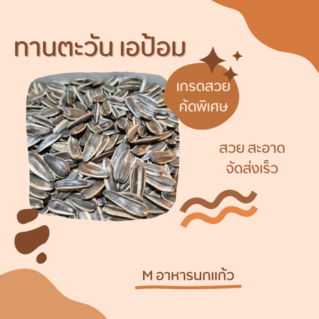 เม็ดทานตะวันAป้อม กินได้ทุกสายพันธุ์สะอาด เม็ดใหญ่แบ่งขาย อาหารนกแก้ว ทานตะวันนกแก้ว