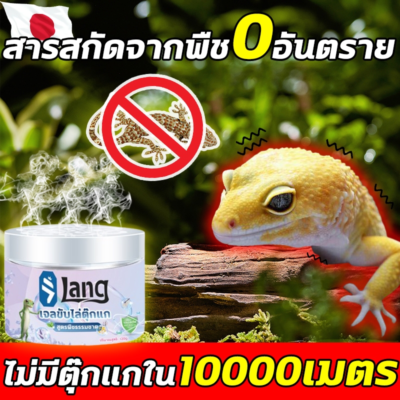 ไม่มีตุ๊กแกใน10000เมตร DT ไล่ตุ๊กแก ไล่จิ้งจก ยาฆ่าจิ้งจก ยาไล่ตุ๊กแก 100g สมุนไพร ผลิตจากธรรมชาติ ม่มีสารเคมี