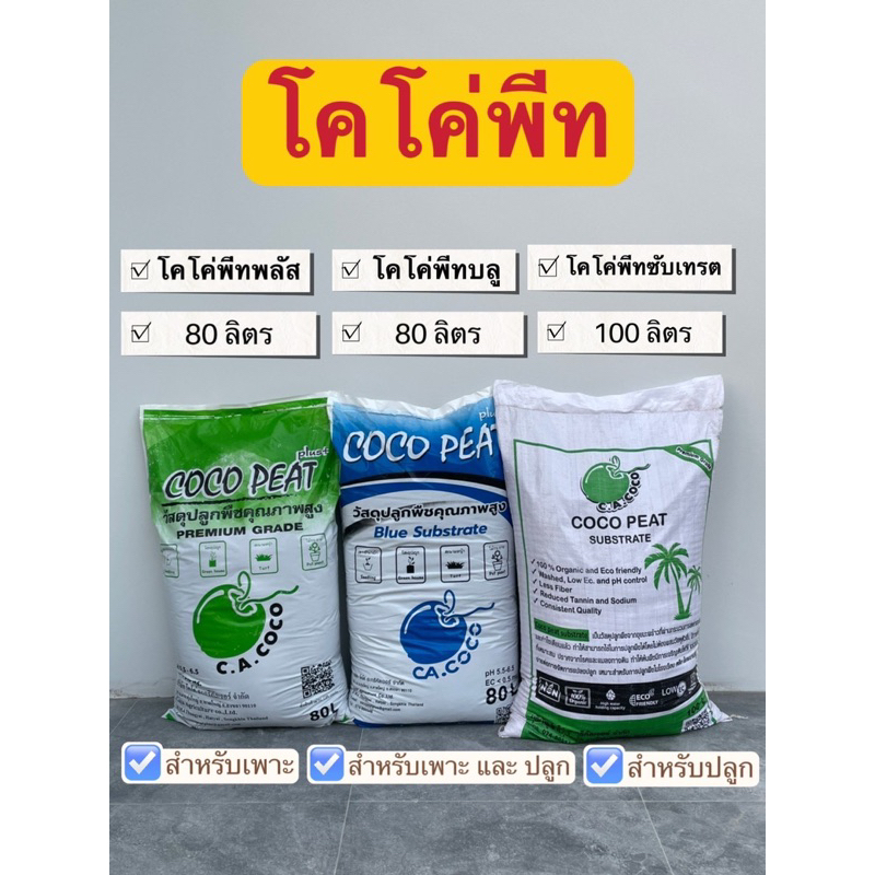 ขุยมะพร้าวล้างแทนนิน พร้อมใช้ โคโค่พีท